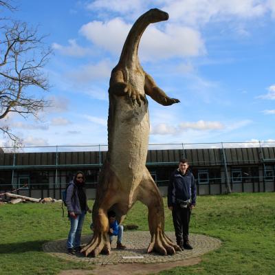 Ein Dinosaurier steht in der Mitte, rechts daneben ein Schüler, unter dem Dinosaurier hockt ein Schüler und rechts neben dem Dinosaurier steht eine Betreuerin 