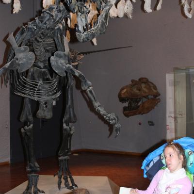 Eine Schülerin im Rollstuhl steht neben einem Dinosaurier Skelett