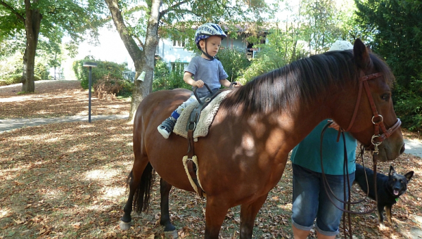 Therapeutisches Reiten