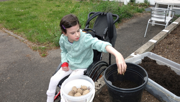 Noch mehr Gartenarbeit ...