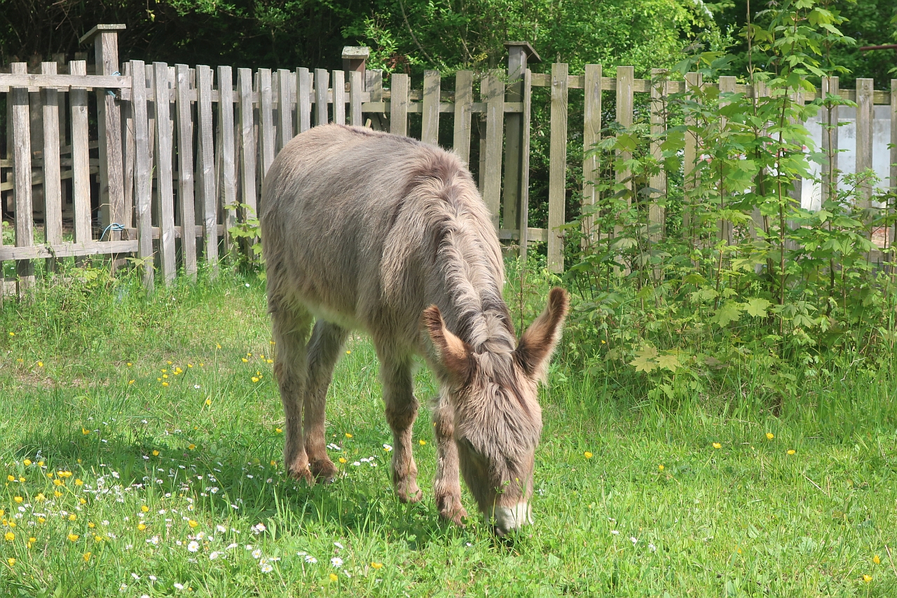 Hallo Ferni!