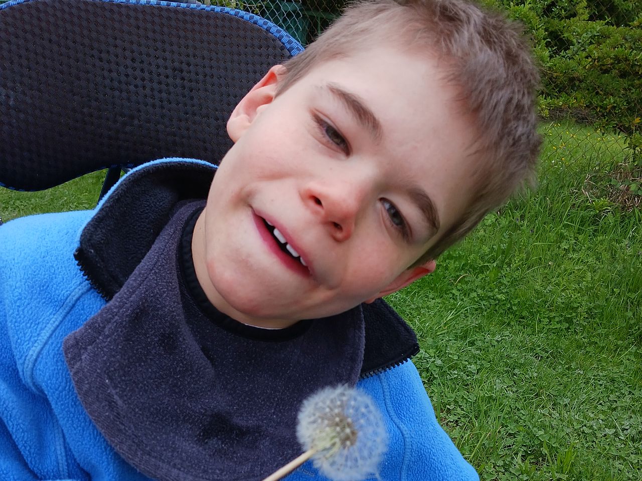 Schüler im Rollstuhl, grüner Hintergrund Wiese, Sträucher, der Schüler hält eine Pusteblume in der Hand
