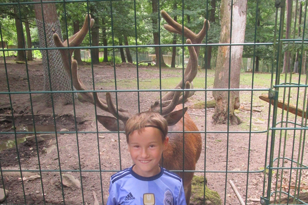 Kopf eines Jungen, der so vor einem Hirsch steht, dass das Geweih direkt zu seinem Gesicht zu gehören scheint