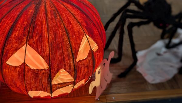 Eine leuchtende Kürbislaterne steht auf dem Boden. Neben ihr steht eine größe schwarze Spinne