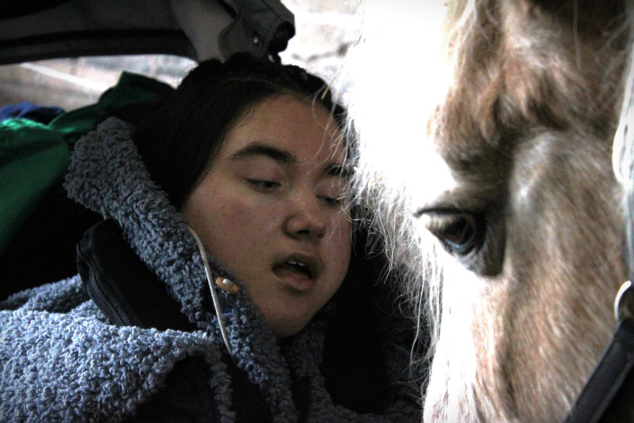 Wir, Gruppe 38, haben einen Nachmittagsausflug zu den Pferden gemacht. Wir haben sie geputzt, gefüttert und gestreichelt. 