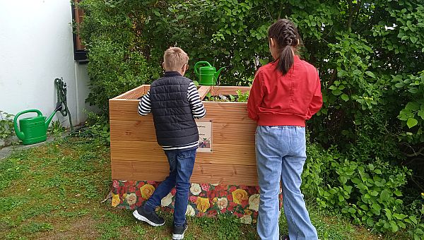 Die erste Saison unseres Hochbeetes