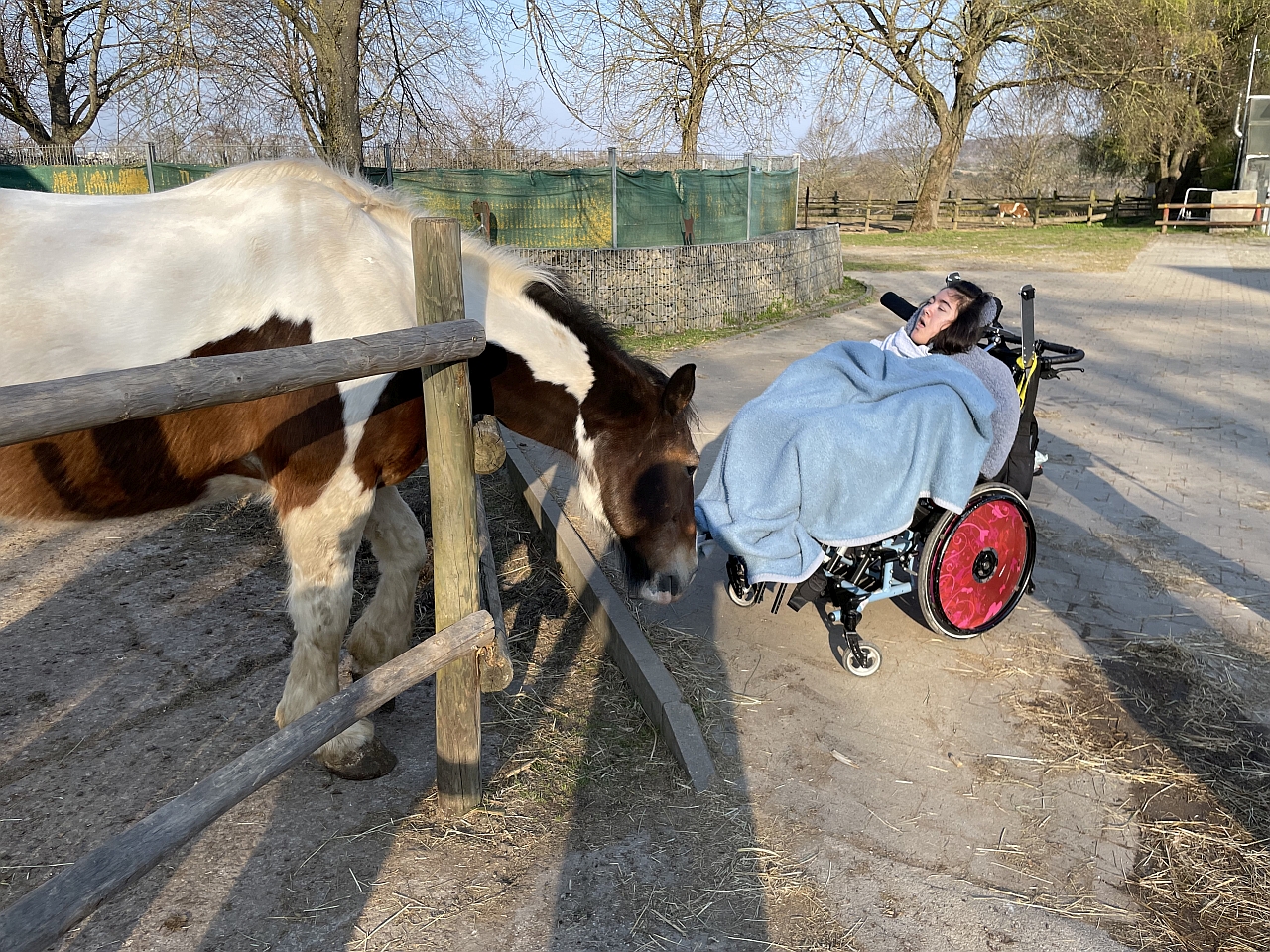 Eine junge Frau im Rollstuhl steht vor einem Pferd, welches eingezäunt ist. Das Pferd schnuppert an ihren Füßen.
