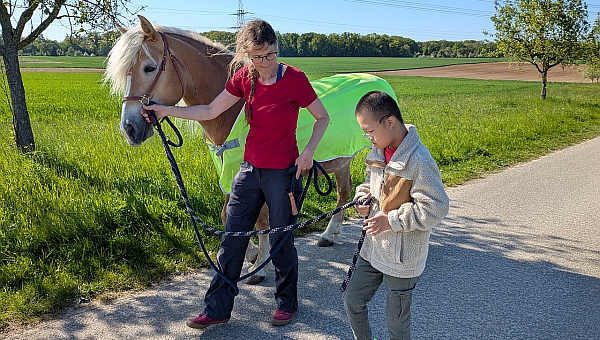 Ein Spaziergang auf vier Hufen