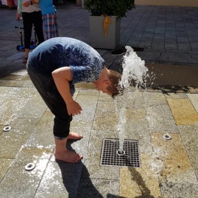 Gruppe 49 im Sommer