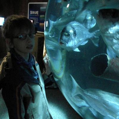 Sealife02