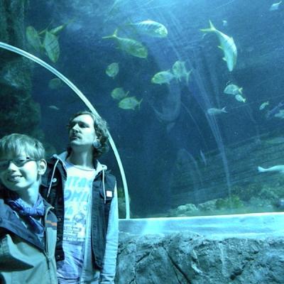 Sealife04