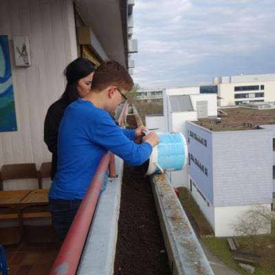 Nochmehrarbeit4805