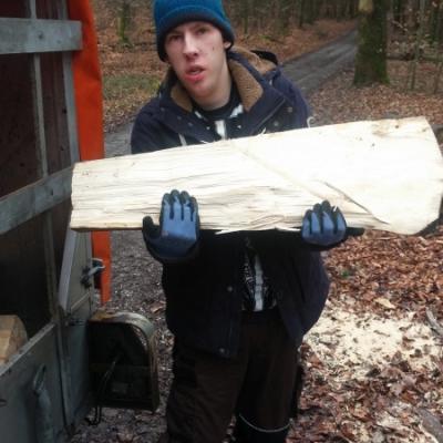 Ahwerkwald05