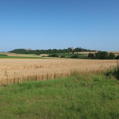 Fahrrad15