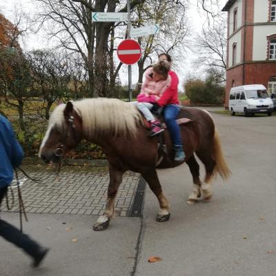 Reitstunde07