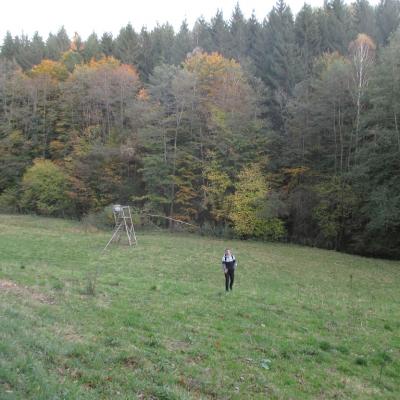 Stromberg11