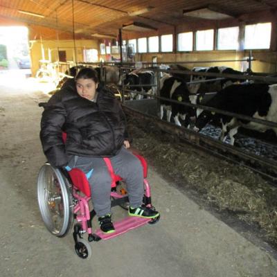Bauerbessler07
