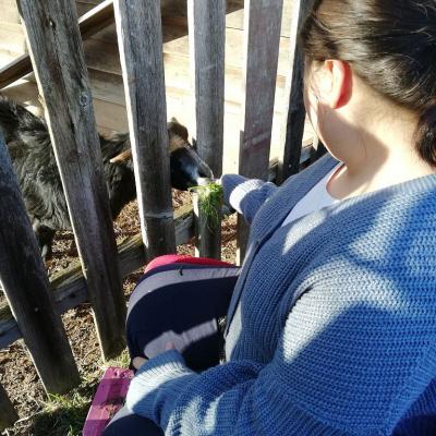 Fruehling2206