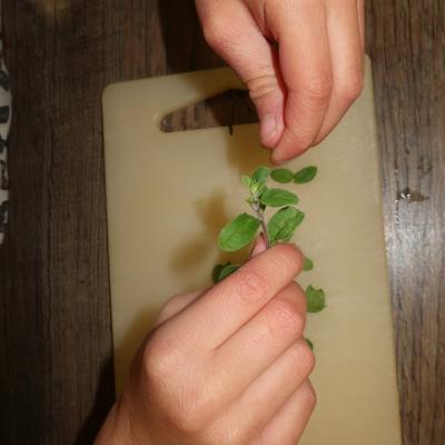 Kraeuterfrischkaese17