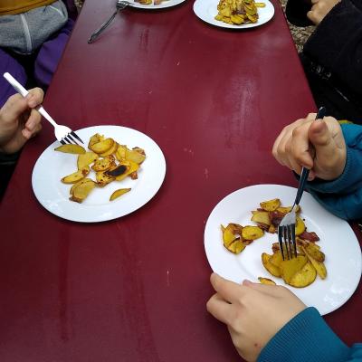 Kartoffelernte 01