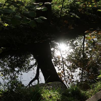 Oktober224803