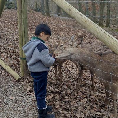 Wildparadies39