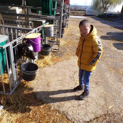 Schoeneswetter03