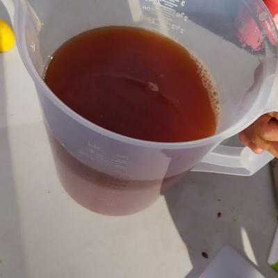 Apfelsaft selbst gemacht