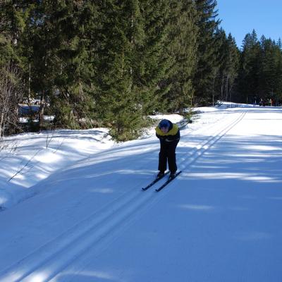 Christopher fährt Schuss in der Loipe. Im Hintergrund sieht man Wald.