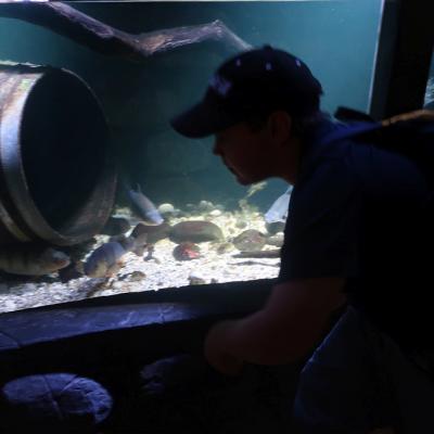 Ein Schüler beobachtet Fische