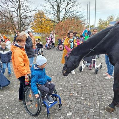 Zahlreiche Schülerinnen und Schüler sowie Mitarbeitende stehen im Rondell Schlange, um das Pferd zu streicheln, im Hintergrund Herbstbäume. Mittig ein Erstklässler im Rollstuhl mit seiner Lehrerin vor dem Pferd.