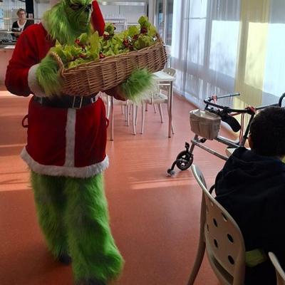 Der Grinch mit Nikolaustüten