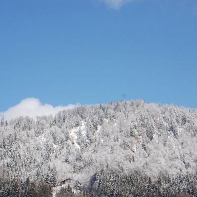 Ein bewaldeter Hügel unter blauem Himmel ist mit feinem weißem Schnee bedeckt wie mit Puderzucker.