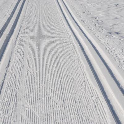 Man sieht zwei Loipen. Dazwischen ist gewalzter Schnee zu sehen. Die Schneequalität sieht sehr gut zum Langlaufen aus.