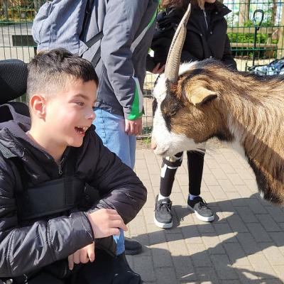 Leonard nimmt Kontakt mit der Ziege auf.