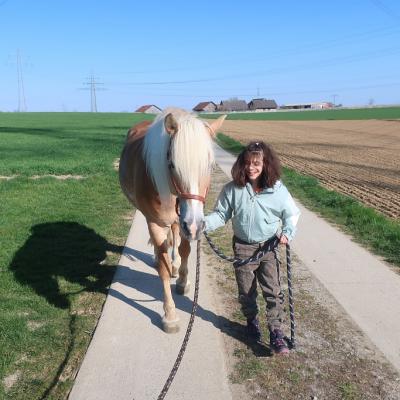 Eine Schülerin führt ein Pferd an der Leine spazieren.