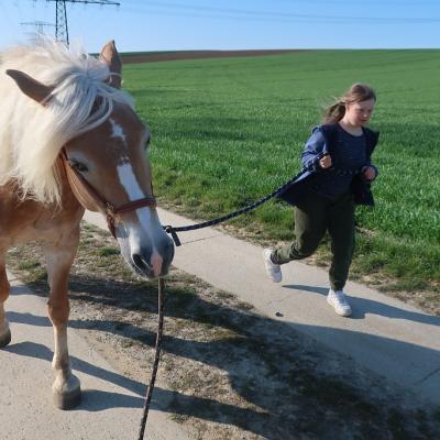 Noch ein anderes Kind führt ein Pferd an der Leine spazieren.