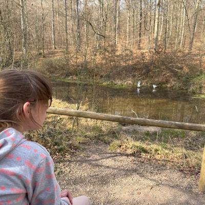 Schülerin schaut auf einen Teich und sucht die Tiere 