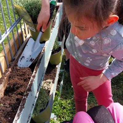 Teodora pflanzt die Kräuter für den Sinnesgarten ein.