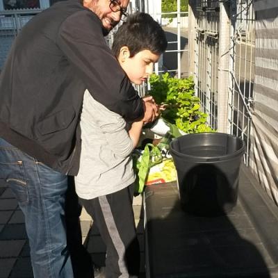 Homeschooling