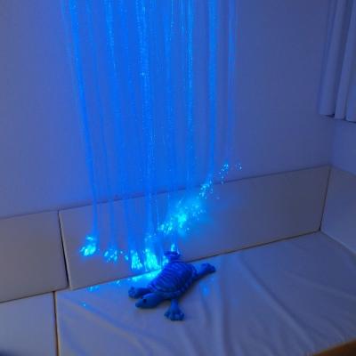 Unter dem Lichtervorhang liegt eine Gewichtsschildkröte.