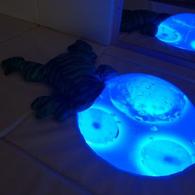 Der Gewichtsfrosch liegt auf der Wasserhalbkugel.
