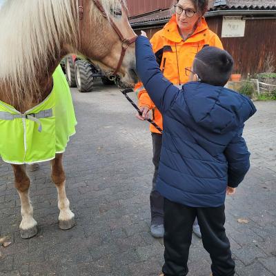 Ein Junge steht mit dem Rücken zur Kamera. Er streichelt ein hellbraunes Pferd über der Schnautze. Vor dem Junge steht eine Frau und hält das Pferd an der Leine 