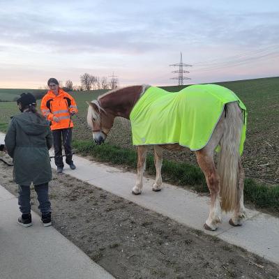 Ein Mädchen steht mit dem Rücken zur Kamera. Sie hält das hellbraune Pferd an der Leine, genau wie die Frau neben ihr Das Pferd hat eine gelbe Decke an. Sie sind auf einem Feldweg 