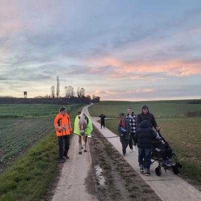 Man sieht eine Gruppe von Erwachsenen und Kindern die mit dem hellbraunen Pferd spazieren gehen. Sie sind auf einem Feldweg 