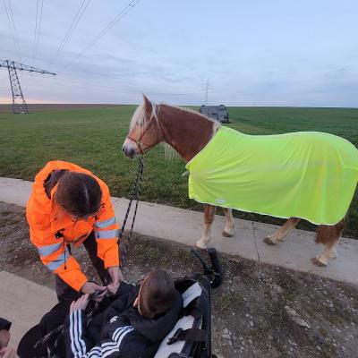 Auf einem Feldweg steht ein hellbrauens Pferd. Eine Frau gibt einem Jungen in einem Buggy die Leine von dem Pferd in die Hand. 