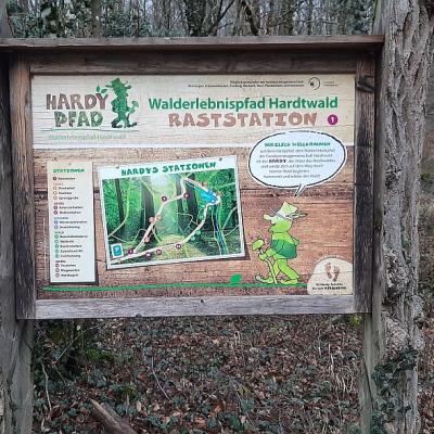 Eine Informationstafel des Walderlebnispfads 