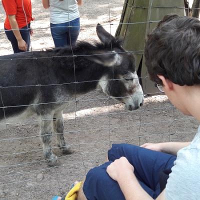 Tierpark Pforzheim