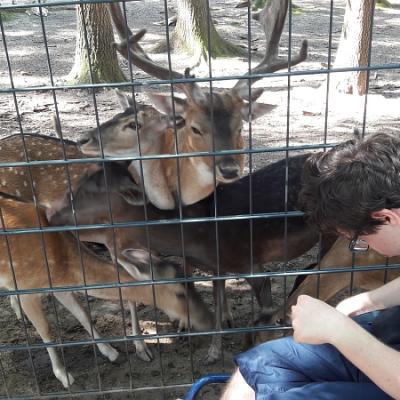 Tierpark Pforzheim