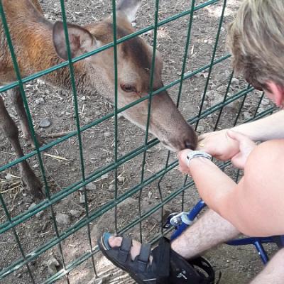 Tierpark Pforzheim